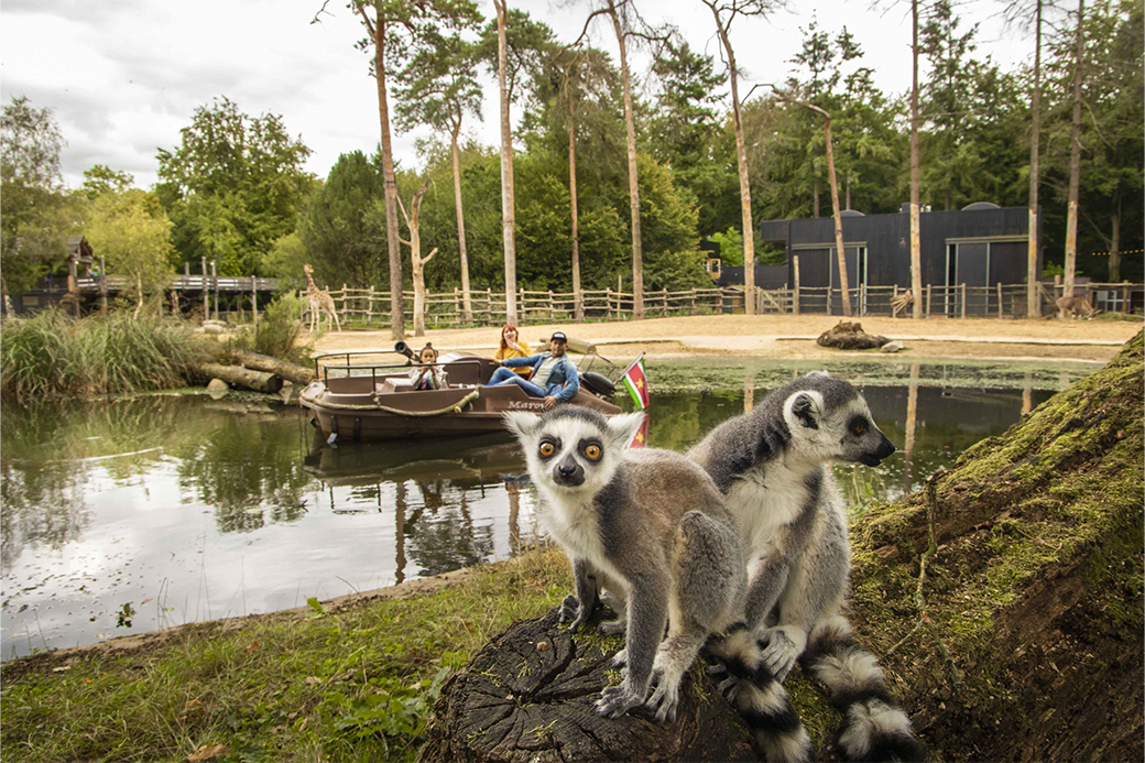 DierenPark Amersfoort | Samenwerking en partner locatie | Bedrijfsuitje - teambuilding activiteiten - teamuitje
